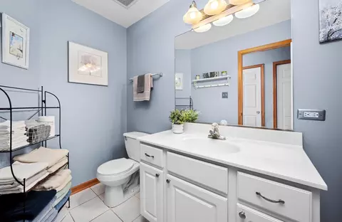 Bath - 5157 Ribbon Ct, Monee, IL 60449 photo 3 of 3
