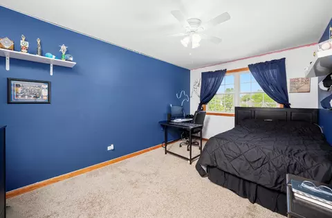 Bedroom - 5157 Ribbon Ct, Monee, IL 60449 photo 4 of 4