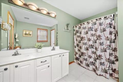 Bath - 5157 Ribbon Ct, Monee, IL 60449 photo 2 of 3