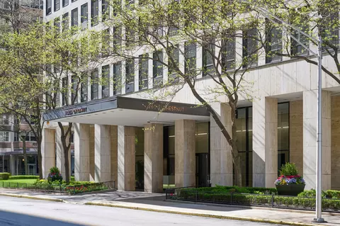 260 E Chestnut St #3005, Chicago, IL 60611