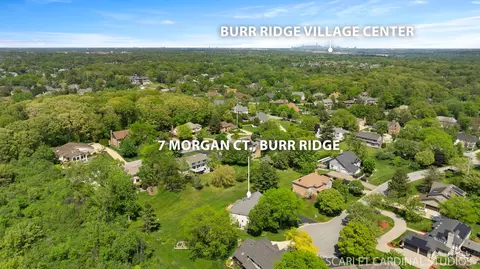 7 Morgan Ct, Burr Ridge, IL 60527 photo 18