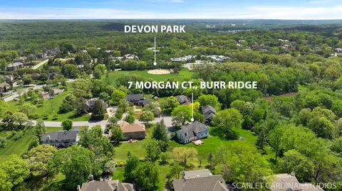 7 Morgan Ct, Burr Ridge, IL 60527 photo 17