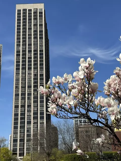 2650 N Lakeview Ave #3904, Chicago, IL 60614