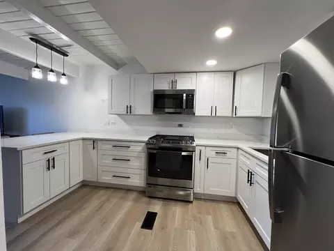 126 Cora Ave #E, Fox Lake, IL 60020 photo 3