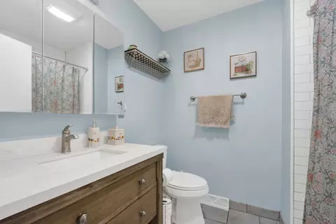 Bath - 884 Arnold Ct, Des Plaines, IL 60016 photo 2 of 3