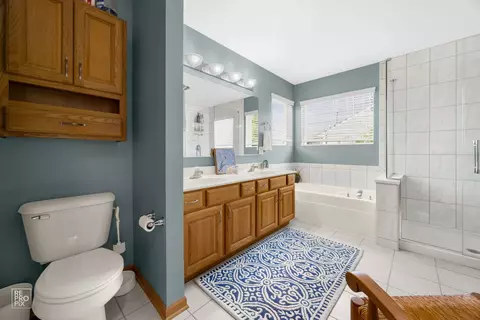 24001 W Walnut Cir, Plainfield, IL 60585 photo 15