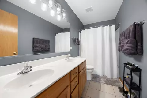 24001 W Walnut Cir, Plainfield, IL 60585 photo 17