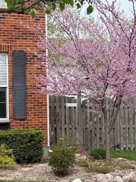 24001 W Walnut Cir, Plainfield, IL 60585 photo 3