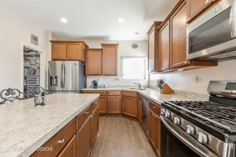 3313 Christopher Ln, Johnsburg, IL 60051 photo 15