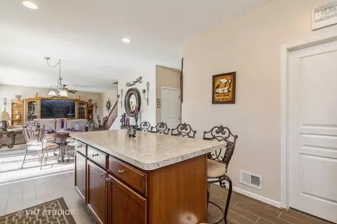 3313 Christopher Ln, Johnsburg, IL 60051 photo 16
