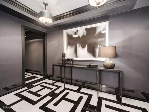 Entry Way - 20 E Cedar St #2D, Chicago, IL 60611 photo 1 of 2