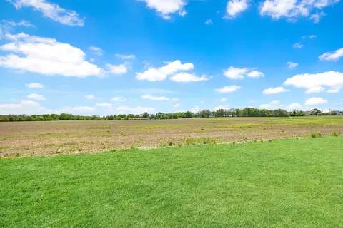 23424 W Winston Ave, Plainfield, IL 60586 photo 21