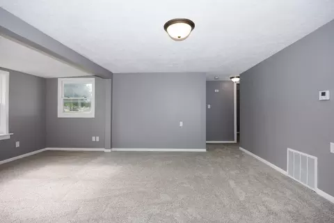 303 N Woodlawn St, Downs, IL 61736 photo 2