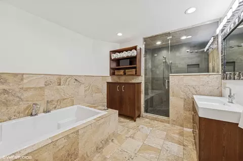 Bath - 146 Gale Ave, River Forest, IL 60305 photo 2 of 5