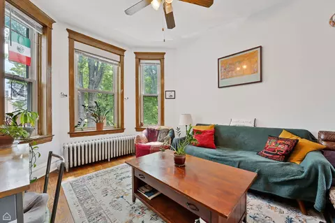 3310 S Lowe St, Chicago, IL 60616 photo 3