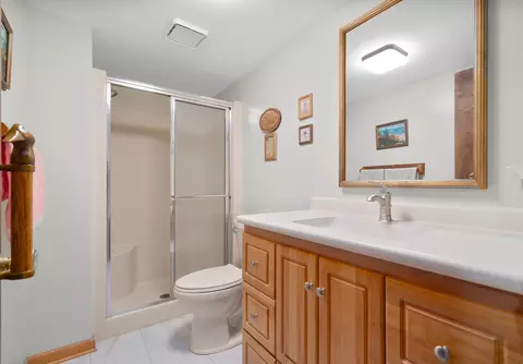 46 Feece Dr, Batavia, IL 60510 photo 24