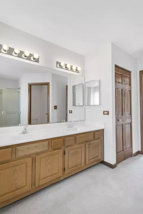 1442 Wildmint Trl, Elgin, IL 60123 photo 33