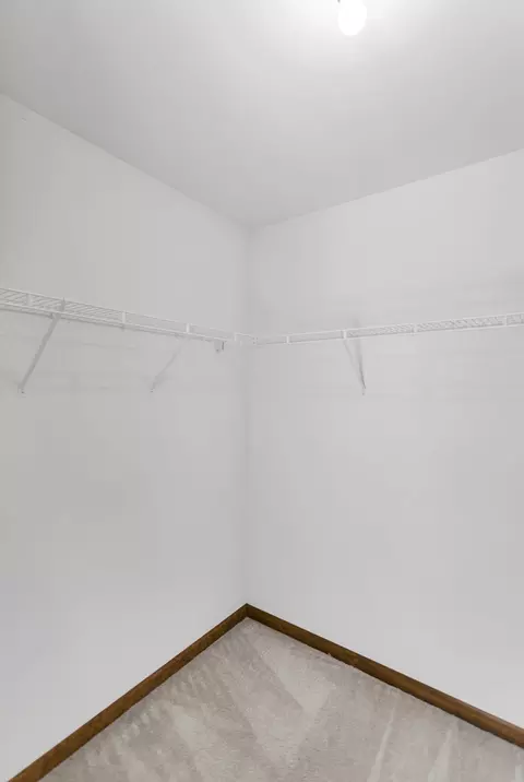 1442 Wildmint Trl, Elgin, IL 60123 photo 30