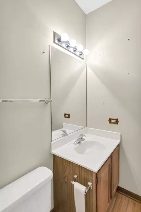 1442 Wildmint Trl, Elgin, IL 60123 photo 25