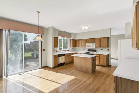 1442 Wildmint Trl, Elgin, IL 60123 photo 16