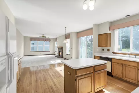 1442 Wildmint Trl, Elgin, IL 60123 photo 20