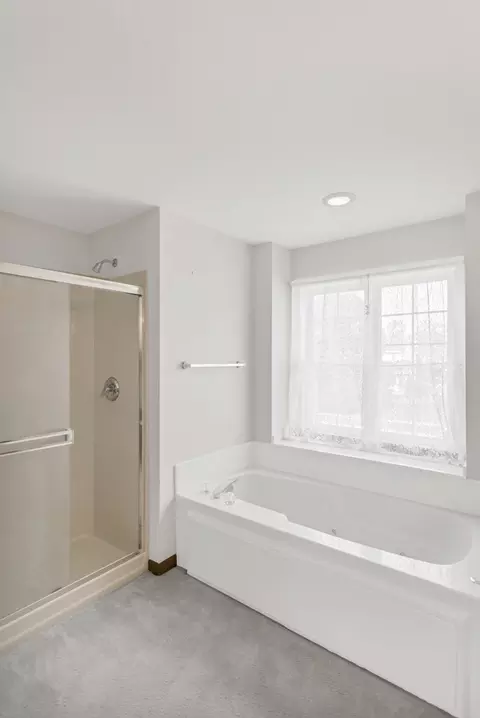 1442 Wildmint Trl, Elgin, IL 60123 photo 32