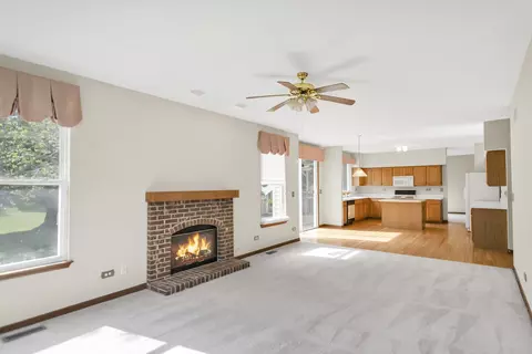 1442 Wildmint Trl, Elgin, IL 60123 photo 14