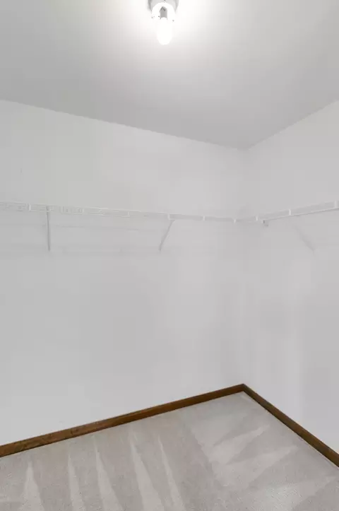 1442 Wildmint Trl, Elgin, IL 60123 photo 31