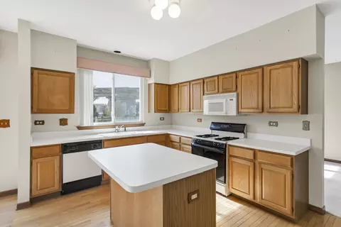 1442 Wildmint Trl, Elgin, IL 60123 photo 17