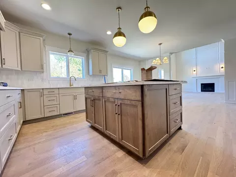 23076 Devonshire Ln, Frankfort, IL 60423 photo 3