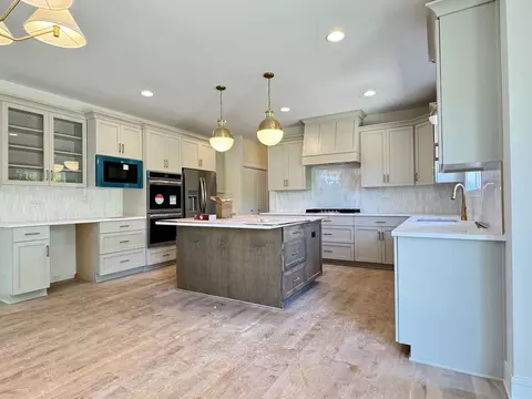 23076 Devonshire Ln, Frankfort, IL 60423 photo 23