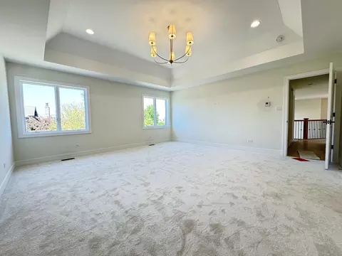 23076 Devonshire Ln, Frankfort, IL 60423 photo 22