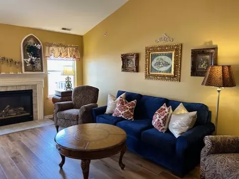 Living - 21222 W Walnut Dr #B, Plainfield, IL 60544 photo 2 of 4