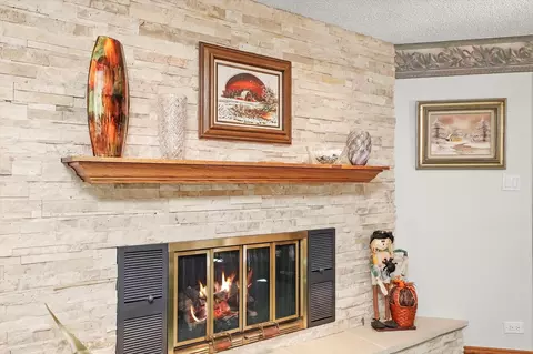 4139 Maple Ave, Brookfield, IL 60513 photo 7