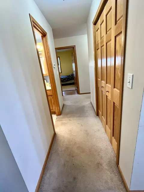 80 N 14th Rd, Lostant, IL 61334 photo 34