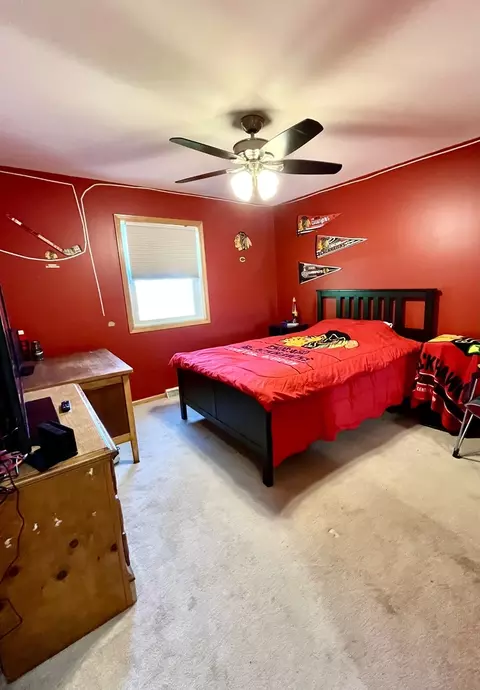 80 N 14th Rd, Lostant, IL 61334 photo 32