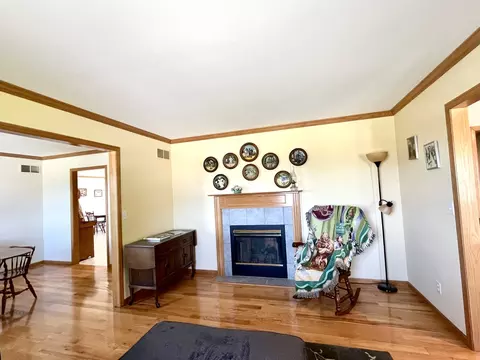 80 N 14th Rd, Lostant, IL 61334 photo 16