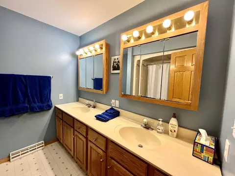 80 N 14th Rd, Lostant, IL 61334 photo 35