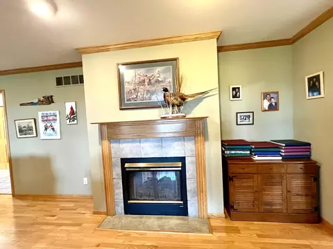 80 N 14th Rd, Lostant, IL 61334 photo 19