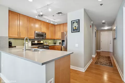 250 E Pearson St #1306, Chicago, IL 60611 photo 12