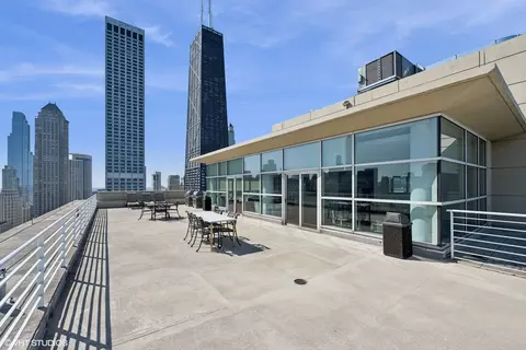 250 E Pearson St #1306, Chicago, IL 60611 photo 21