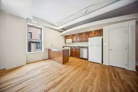 Other - 811 S Lytle St #101, Chicago, IL 60607 photo 3 of 6