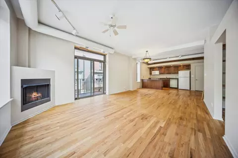 Living - 811 S Lytle St #101, Chicago, IL 60607 photo 2 of 5