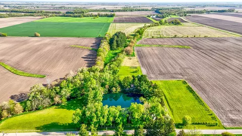 1800 E Grinter Rd, Mazon, IL 60444 photo 32