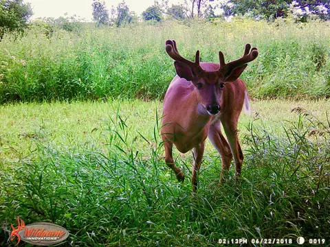 1800 E Grinter Rd, Mazon, IL 60444 photo 29
