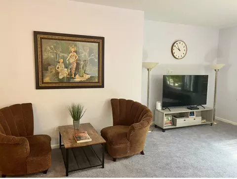 Living - 21148 W Cypress Ln, Plainfield, IL 60544 photo 3 of 4