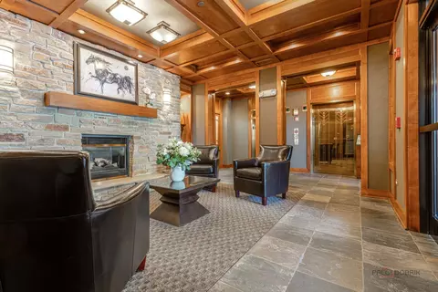 115 Prairie Park Dr #210, Wheeling, IL 60090 photo 5