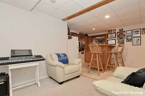 10916 E Riviera Dr, Spring Grove, IL 60081 photo 29