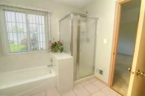 Bath - 1218 Dunamon Dr, Bartlett, IL 60103 photo 2 of 4