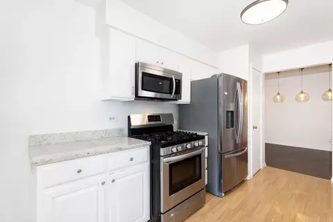 Kitchen - 207 Walters Ln #1A, Itasca, IL 60143 photo 2 of 2